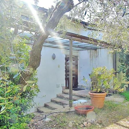 Una Terrazza Tra Gli Ulivi Apartamento