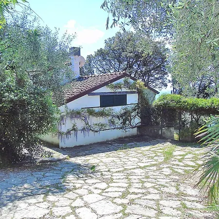 Una Terrazza Tra Gli Ulivi